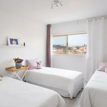 Appartamento Vegan Topfloor Apartment-douro&ribeira Views Bandeira