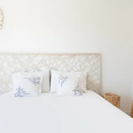 Vegan Topfloor Apartment-douro&ribeira Views *