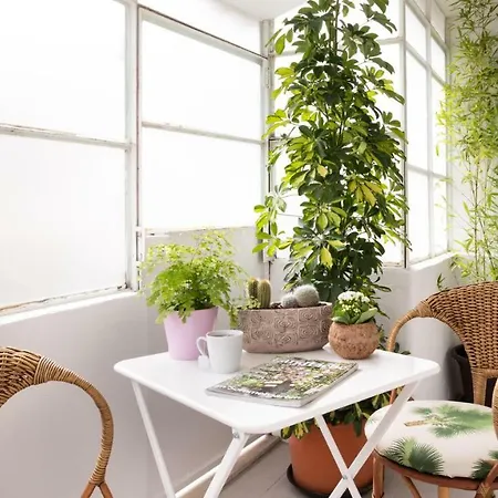 Lejlighed Vegan Topfloor Apartment-douro&ribeira Views