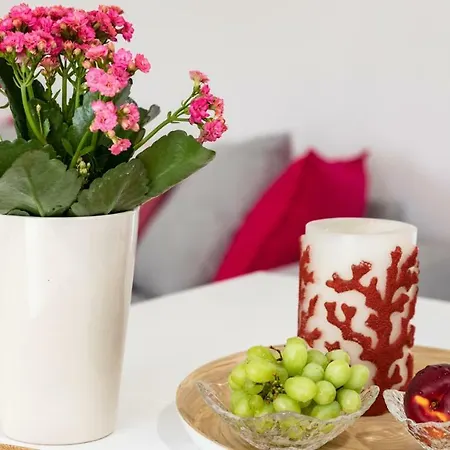 Vegan Topfloor Apartment-douro&ribeira Views Lejlighed *